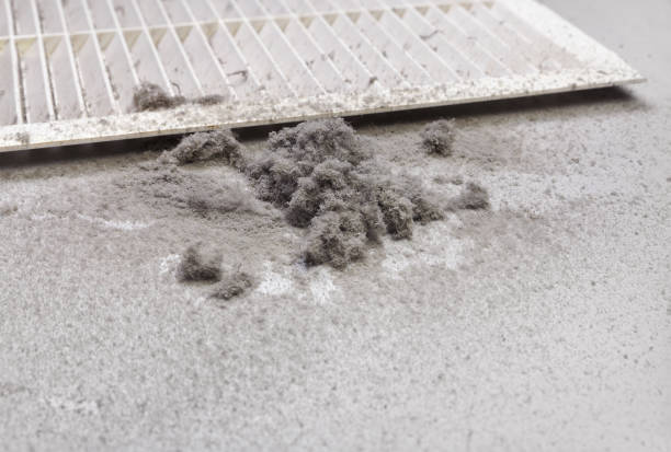 Best Air Duct Cleaning Near Me  in Emory, TX