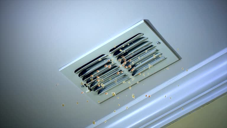 Best Affordable Duct Cleaning Services  in Emory, TX